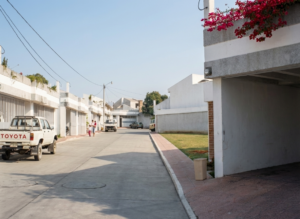 ARAUCARIAS DE LAS CHARCAS I