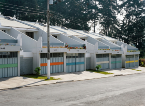 ARAUCARIAS DE LAS CHARCAS II-a