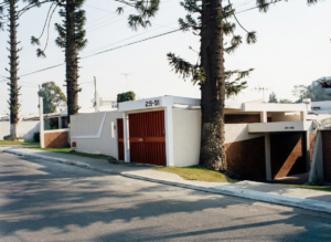 ARAUCARIAS DE LAS CHARCAS II-b